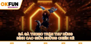 da-ga-thomo-tran-thu-hung-dinh-cao-giua-nhung-chien-ke