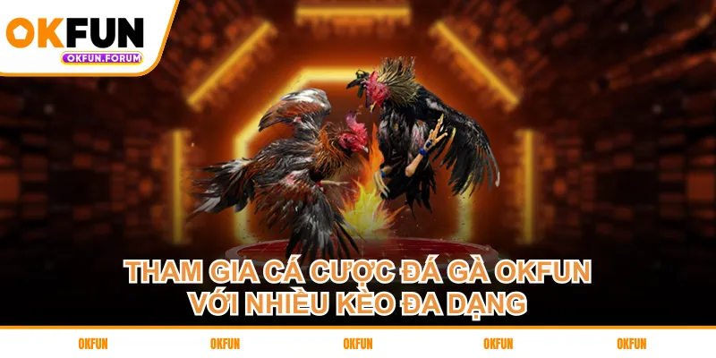 Tham gia cá cược đá gà OKFUN với nhiều kèo đa dạng